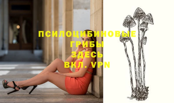 гашиш Новокубанск