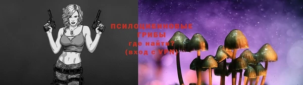 трава Новодвинск