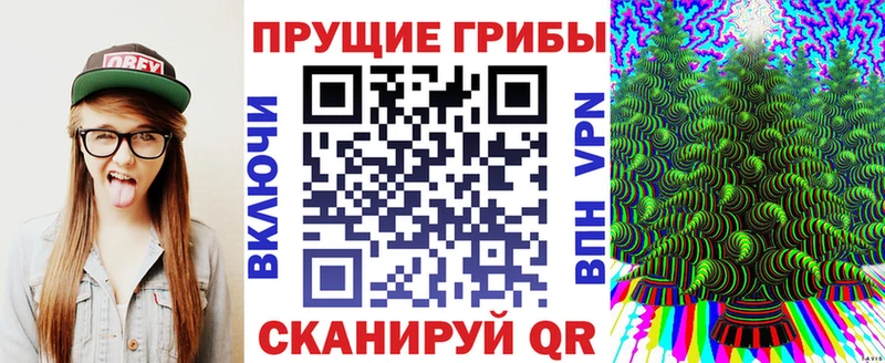 mega tor Одинцово Псилоцибиновые грибы мицелий
