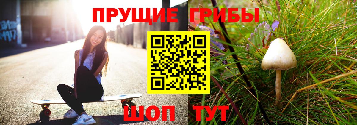 Галлюциногенные грибы Magic Shrooms  Псилоцибиновые грибы GOLDEN TEACHER  Одинцово  Вход с VPN 